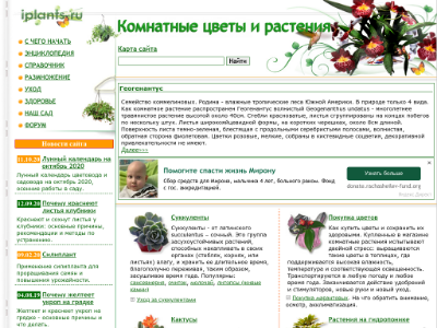 «iplants.ru»  — комнатные цветы и растения
