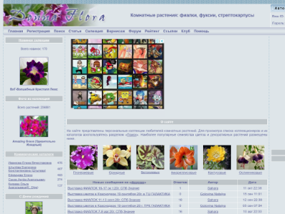 «Donna flora» —  сервер цветоводов-коллекционеров