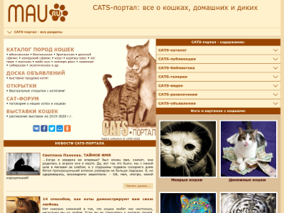 «Cats-портал» — все о кошках