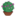 «Cactuslove» — кактусы от A до Z